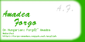 amadea forgo business card